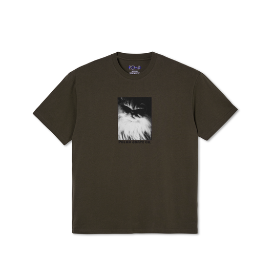 POLAR SKATE CO - FIFI TEE - BROWN